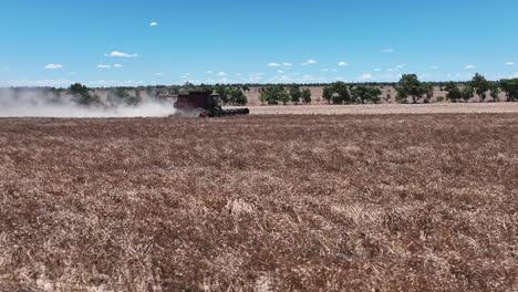 Explore-the-cutting-edge-machinery-and-precision-in-action-during-a-large-scale-lupin-harvesting-operation