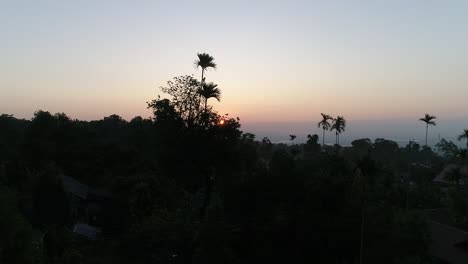 Lush-vegetation-and-tall-palm-trees-of-Indian-village-near-tropical-bay-washed-by-ocean-at-beautiful-sunset