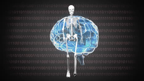 animación del cerebro digital y el esqueleto caminando sobre el procesamiento de datos sobre un fondo negro