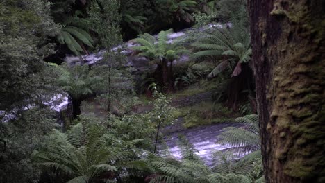 Zwei-Wasserfallströme,-Die-Im-Regenwald-Fließen