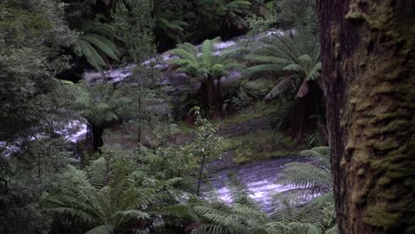 Two-waterfall-streams-flowing-in-rainforest