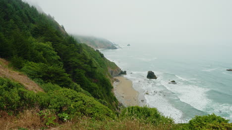misty coastal landscape with forested cliffs and ocean