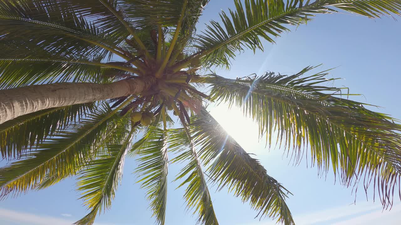 4k footage B roll of sun rays, sunbeams shines through coconut tree. sunny daytime in a tropical beach and sea. blue sky bright sun landscape nature background. traveling in paradise summer holiday.