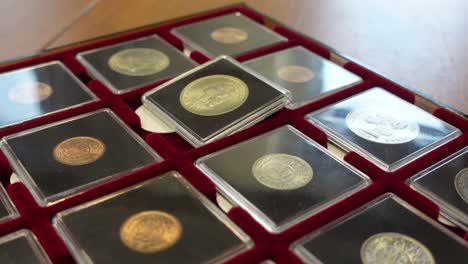 coin collector. collection of certified coins