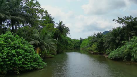 volando bajo sobre el río caué en medio del bosque en el sur de são tomé, áfrica