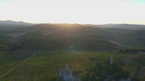 Weinberge-Bei-Sonnenuntergang-Und-Einsiedelei-Der-Jungfrau-Von-Montserrat