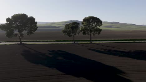 Italienische-Landstraße-Mit-Baumgrenze-Und-Schatten-Von-Rechts-Nach-Links