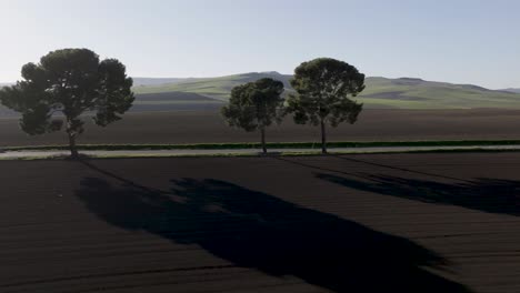 italian countryside road with treeline and shadows right to left