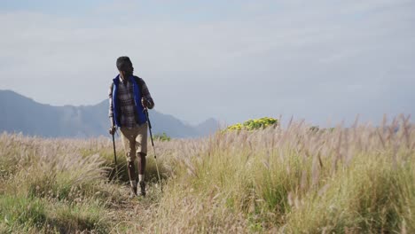 Hombre-Afroamericano-Con-Mochila-Usando-Bastones-De-Marcha-Nórdica-Haciendo-Caminatas-En-El-Campo