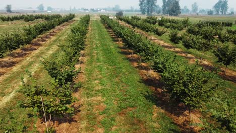 Left-to-right-drone-footage-of-farm