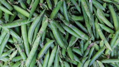 fresh-organic-peas-from-farm-close-up-from-different-angle