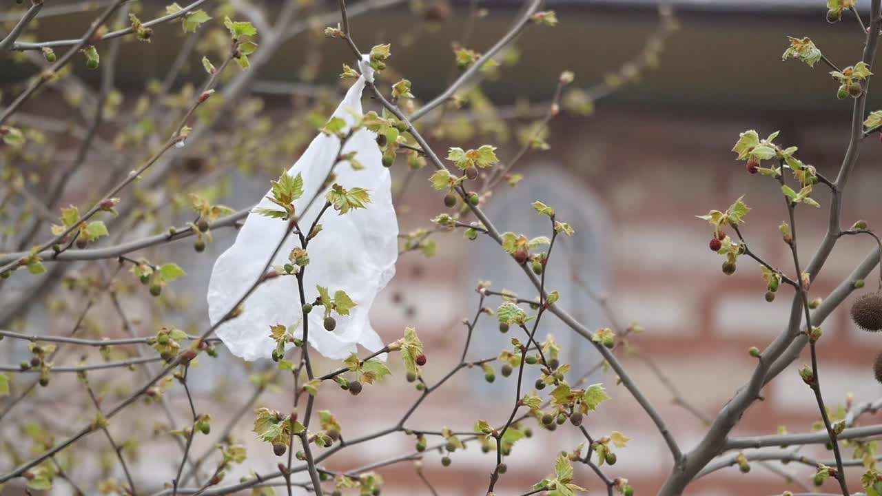 나무 가지 에 있는 플라스틱 가방