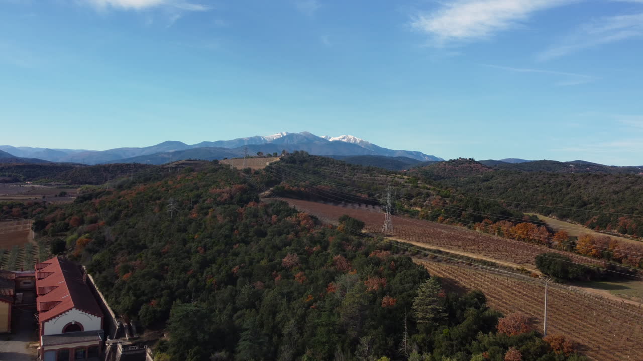 paisaje de viñedos de otoño con montañas