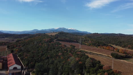 autumnal vineyard landscape with mountains