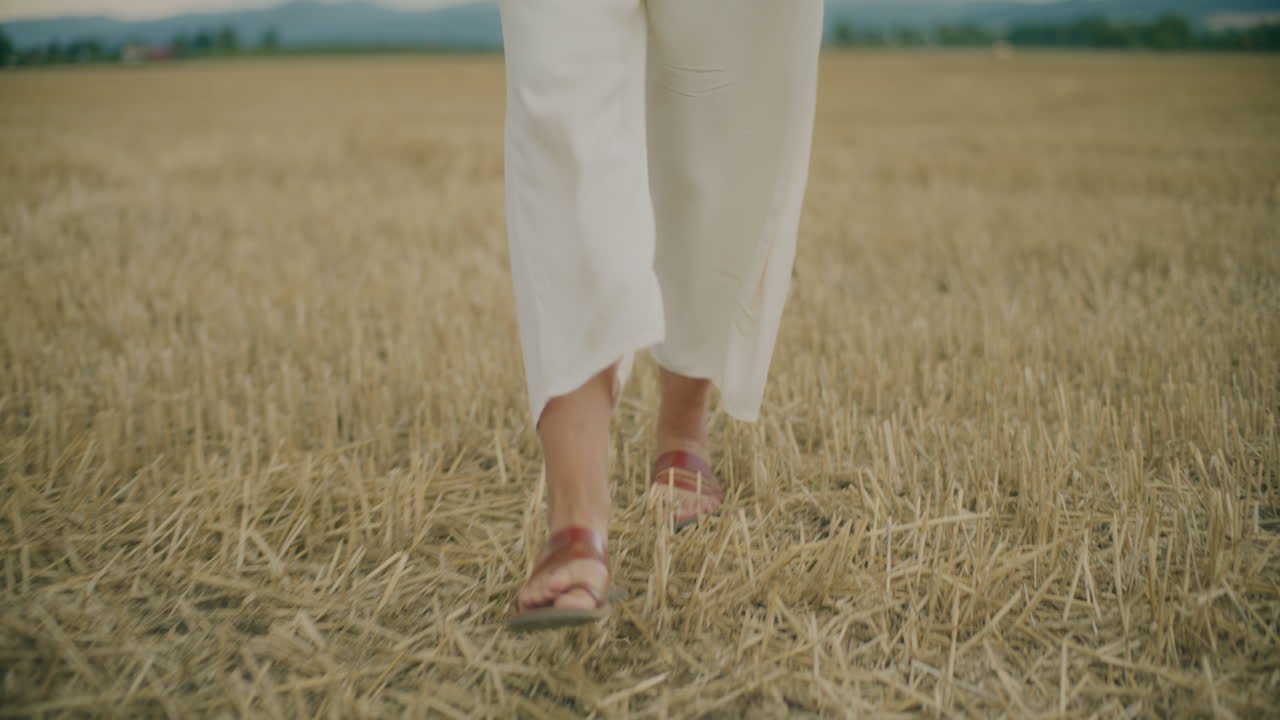 Walking on Havested Field