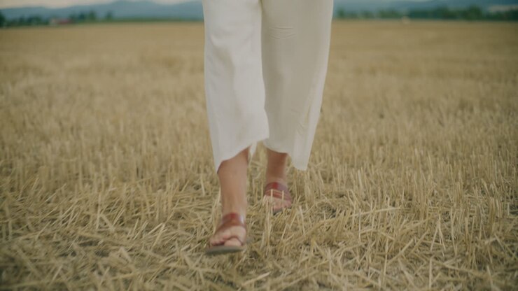 Walking on Havested Field