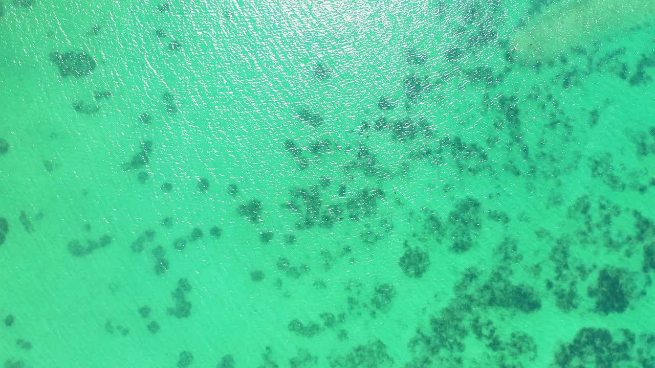 햇빛을 반사하는 잔잔한 맑은 물과 해저의 산호초, 다채로운 질감을 갖춘 아름다운 청록색 바다 석호