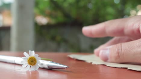 reading romantic letter with flowers daisy