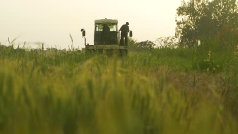 farmer driving a tractor through a wheat field