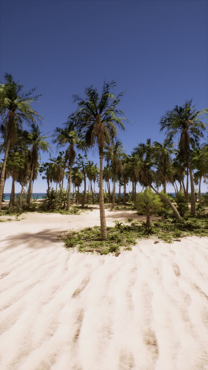 playa tropical con palmeras