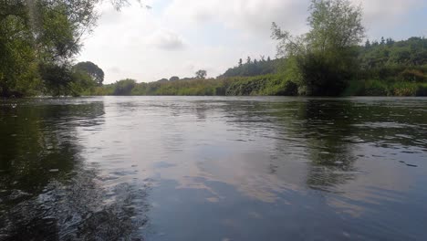 water level low view of fast flowing river with dense riparian foliage