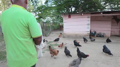 man feeding chickens in farmyard, rustic setting with coop and trees in background