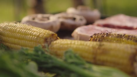 vegetables and meat on a bbq close up