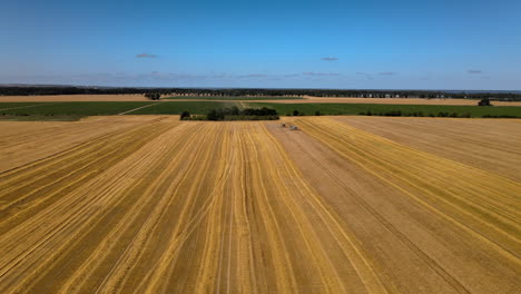 Luftaufnahmen-Rund-Um-Zwei-Mähdrescher,-Die-Während-Der-Erntezeit-Auf-Einem-Goldweizenfeld-Arbeiten