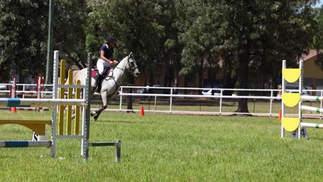 horse and rider jumping over obstacles in arena