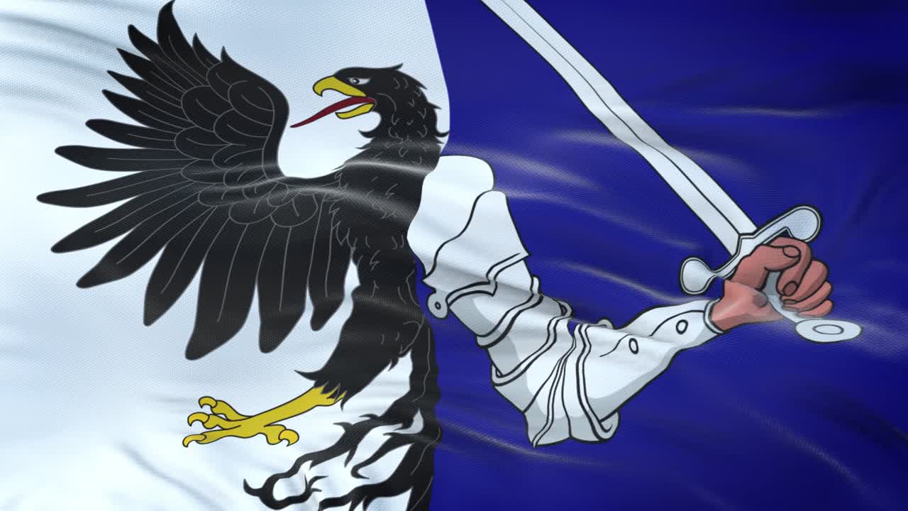 Connacht (Province of Ireland)flag waving in the wind with highly detailed fabric texture. Seamless loop