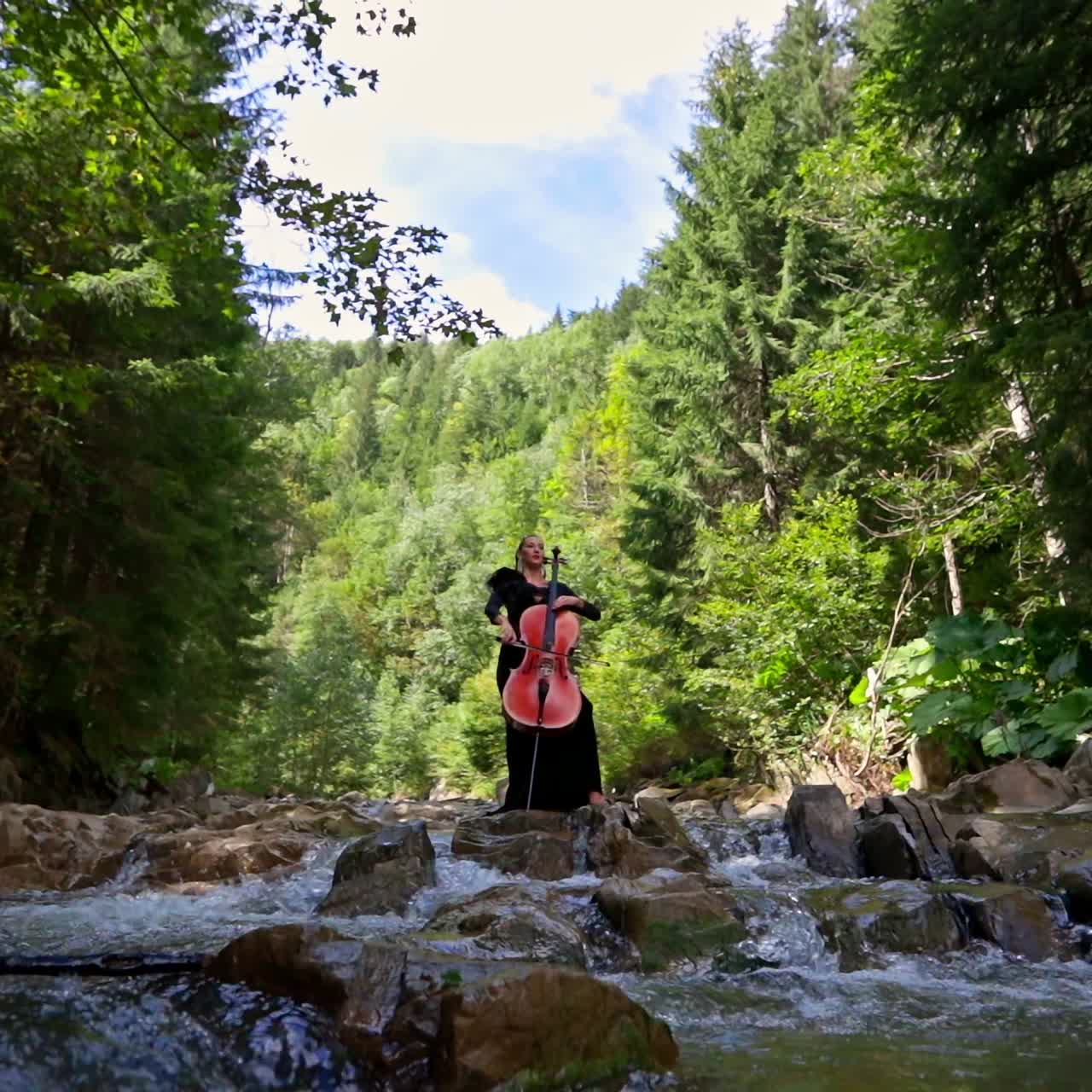 Beautiful girl playing cello in river