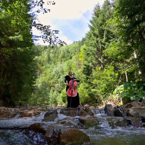 beautiful girl playing cello in river