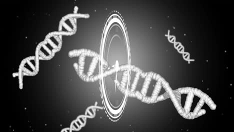 dna strands and clock animation, representing genetic research and time