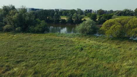 aerial view of tall golden grass swaying in open field near zagreb floodplain