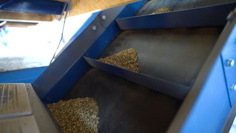 automated machine working for sorting out hemp seeds from other weeds - close up