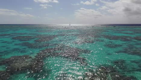 cook island - aitutaki flying outwards the endless ocean and passing a sailor