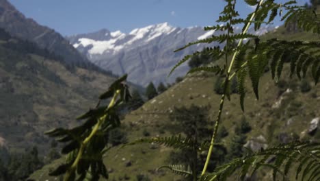 hermoso paisaje de himachal pradesh