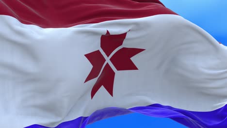 el bucle sin costuras de la bandera de la república de mordovia.