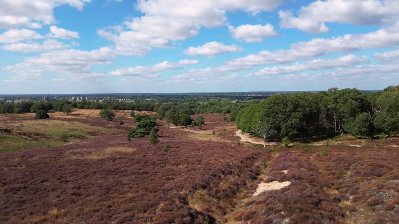 Hedelandskab i Mookerheide, den hollandske provins Limburg i Holland