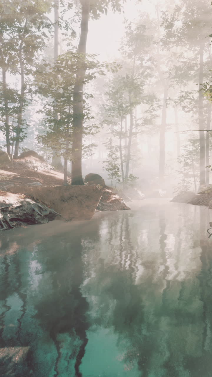 안개 숲의 하천