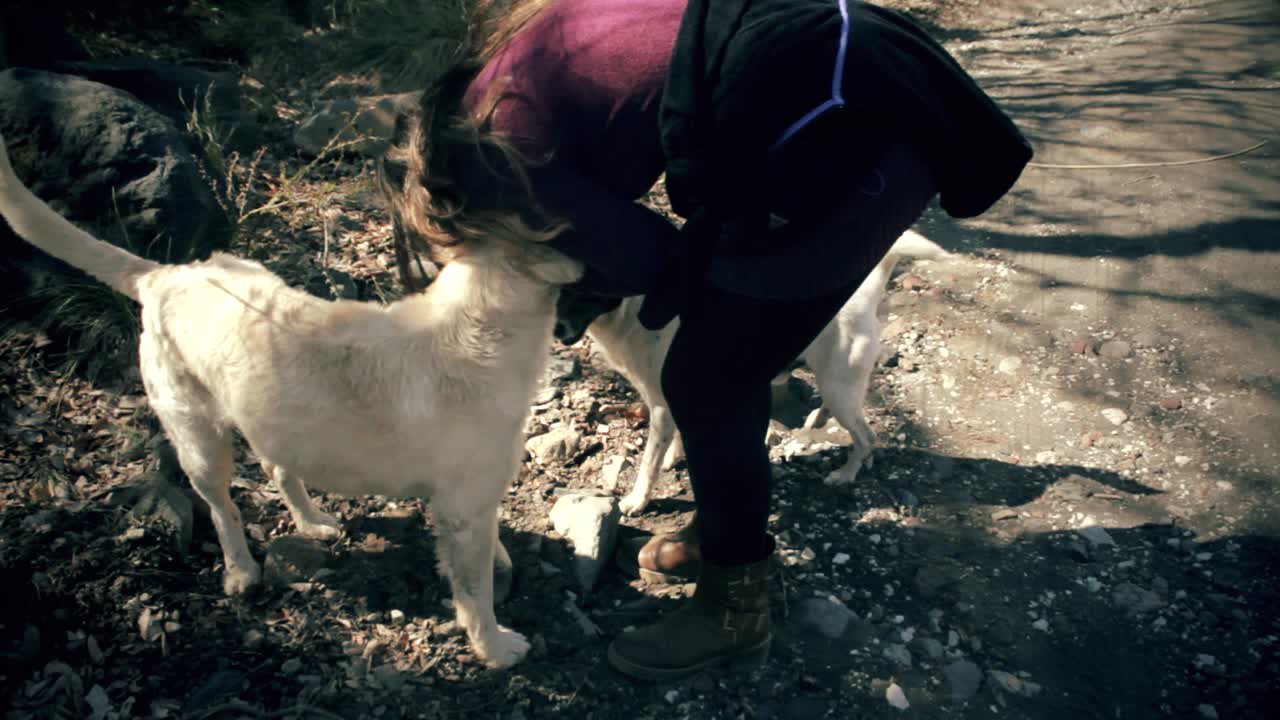 mujer caminando a la montaña con su perro