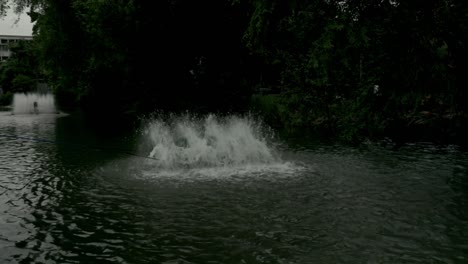 looking at the waterwheels in the park
