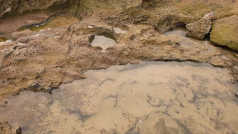 rock pools and erosion in coastal melbourne