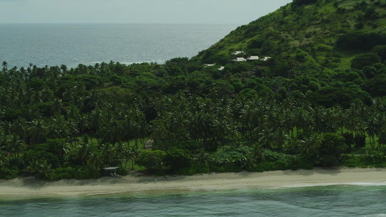 Dense coastal forest with gentle curve of beach and blue green shallows