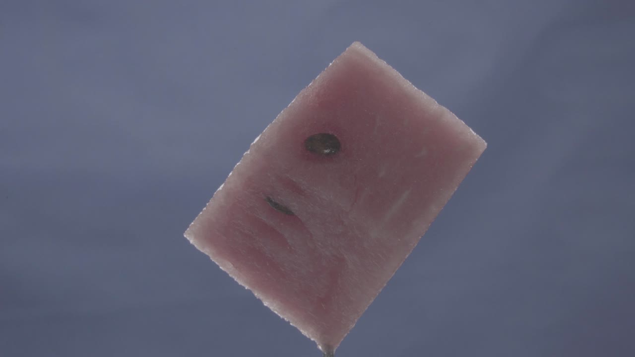 크로마 키를 위해 파란 화면에 루프로 회전하는 수박