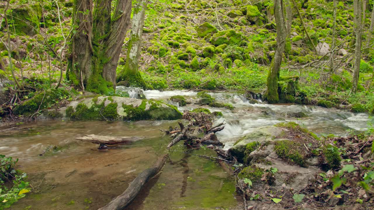 arroyo en otoño, día soleado hermosa escena de follaje de otoño
