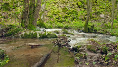 Arroyo-En-Otoño,-Día-Soleado-Hermosa-Escena-De-Follaje-De-Otoño