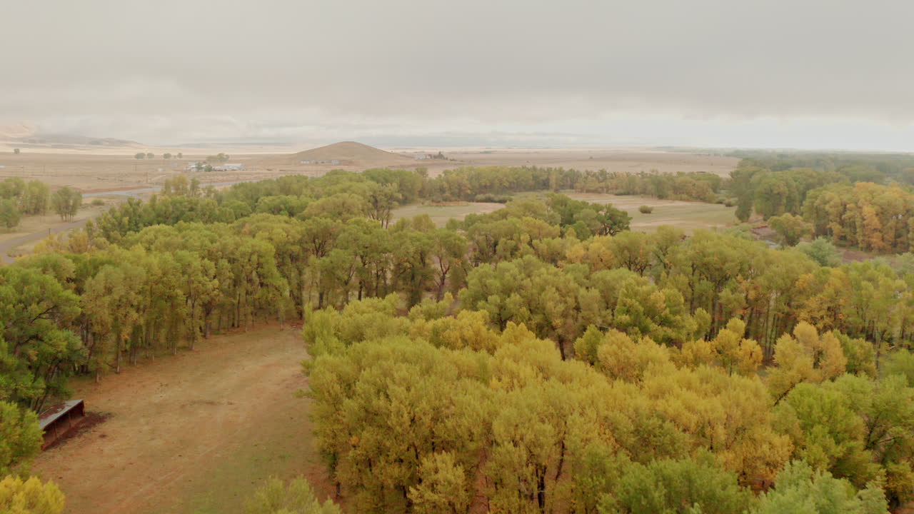 imágenes de drones del norte de colorado de colores de otoño en las montañas