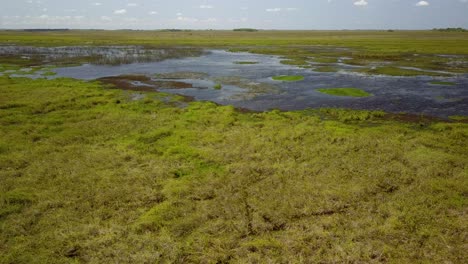 Wetlands-of-northeast-Argentina-shooted-with-drone