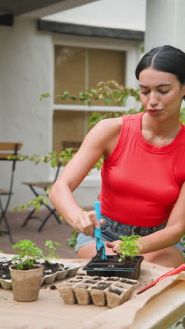 vertical video: woman in red top gardening at home, planting seedlings with smile